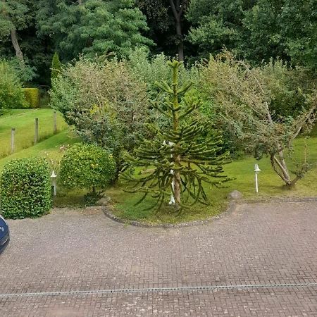 Pension Zum Park Goldberg エクステリア 写真