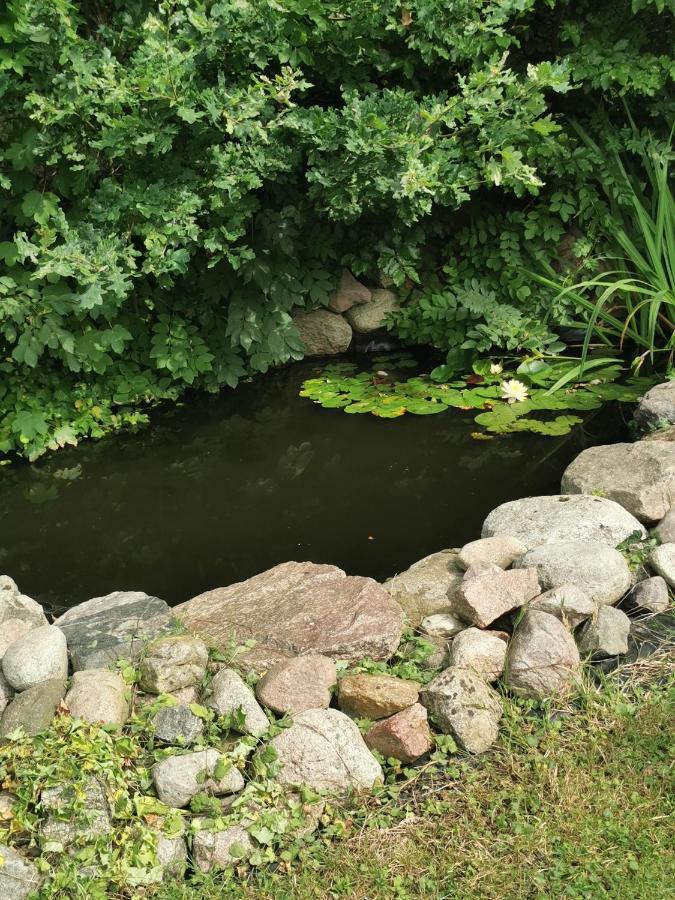 Pension Zum Park Goldberg エクステリア 写真